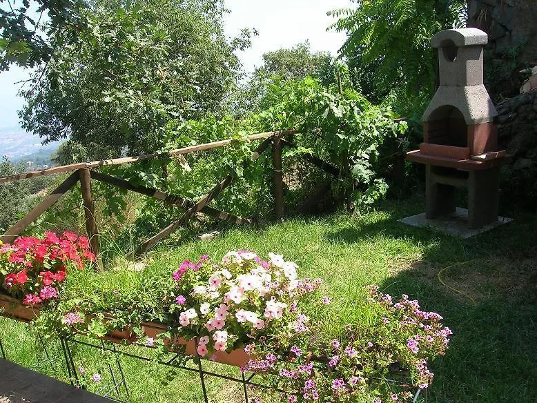 Casa Vacanza La Papuzza Mare E Etna Villa Mascali Holiday home